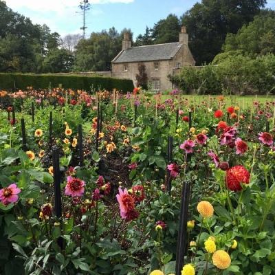 万博全站官网app最新版下载