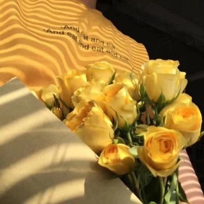 凤凰彩票welcome下载手机版