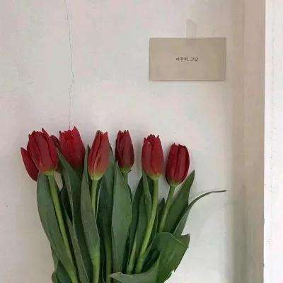 欧博手机版app下载安装